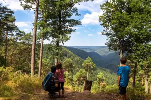 Der Pfälzerwald ist Ziel einiger Etappen.