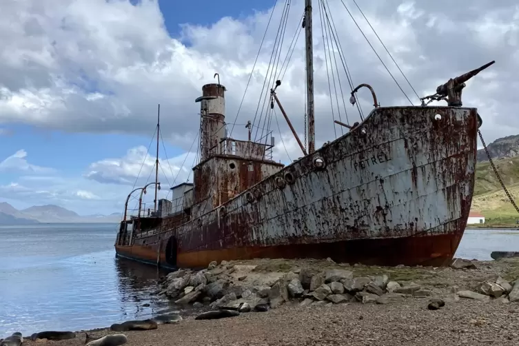 Das alte Walfangschiff steht für eine Ära des Raubbaus an der Natur. 