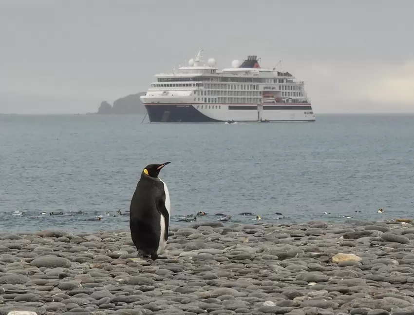 Das Kreuzfahrtschiff von Hapag Lloyd hat die höchste Eisklasse.