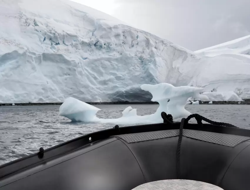 Vergängliche Eiskunst schwimmt vor den Zodiacs.