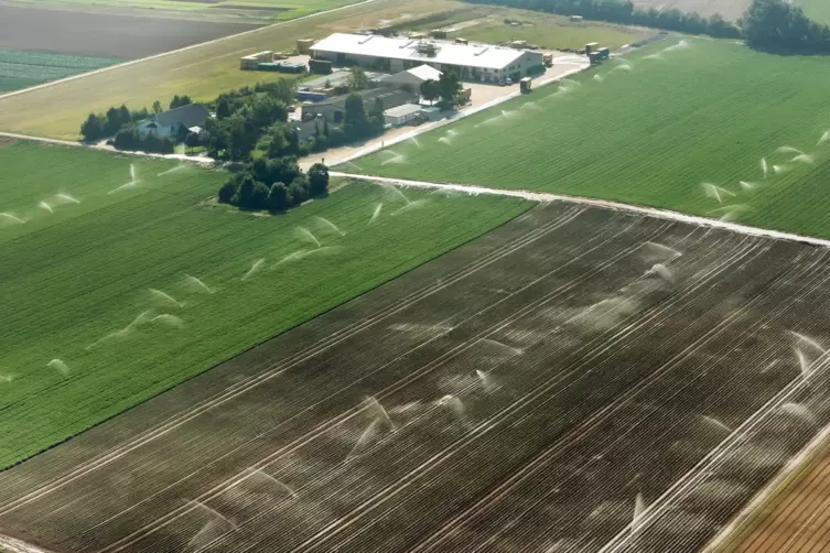 Acker an Acker im Rhein-Pfalz-Kreis. Hier kommt es darauf an, die Kulturen der Nachbarn zu schützen. Präzise Spritztechniken mac