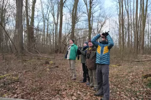 Halten Ausschau: die Teilnehmer des Spechtmonitorings um Christoph Kohler (rechts) am Sonntagmorgen im Auwald.