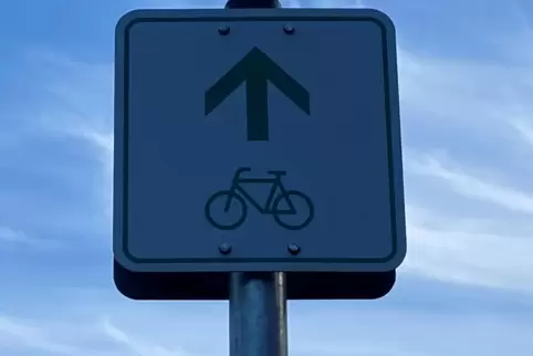 Die Aktionsgruppe „KlimaLautern“ setzt sich unter anderem für mehr Radwege in der Stadt ein. 