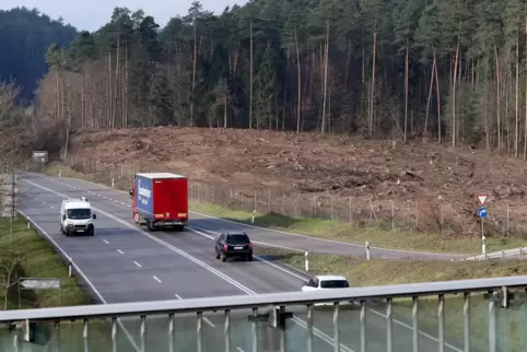 Die Fläche für den Lkw-Rastplatz an ist bereits gerodet. Dahinter soll ein Tankhof mit Motel, Fast-Food-Restaurant und Einkaufsm