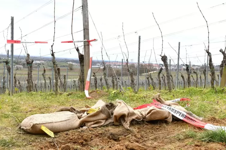 Am Schlamberg wurde am Samstagabend „kontrolliert gesprengt“. 