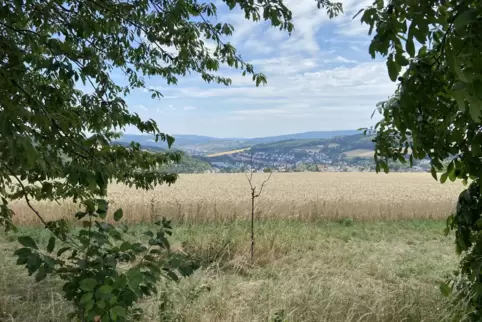 Durchaus malerischer Ausblick auf Kusel im Herbst.