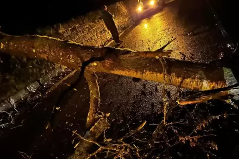 Der Baum blockierte die gesamte Fahrbahn. 