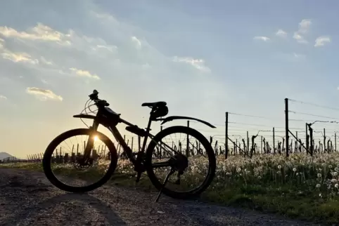 Maikammer will fahrradfreundlicher werden. 