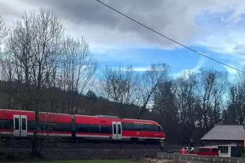 In dieser Regionalbahn bei Alsenz saßen Schüler auf ihrem Nachhauseweg, als die Bahn auf einen umgestürzten Baum auffuhr. Alle m