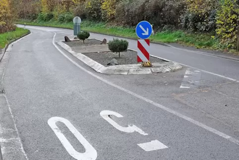 Trotz Tempo 50: Vor allem in den Abendstunden brettern viele Autos durch Oberauerbach, beklagt die Ortsvorsteherin. 