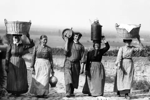 Wie komplett anders Landwirtschaft früher in der Pfalz betrieben wurde, können sich Jüngere heute fast nicht mehr vorstellen. Di