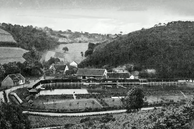 Oberbürgermeister Hans Küfner ließ im Waschmühltal einen Badeweiher, die spätere Wesch, bauen, den er am 4. Juni 1908 einweihte.