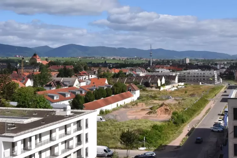 Auf diesem Grundstück an der Paul-von-Denis-Straße ist ein großer Neubau geplant. 