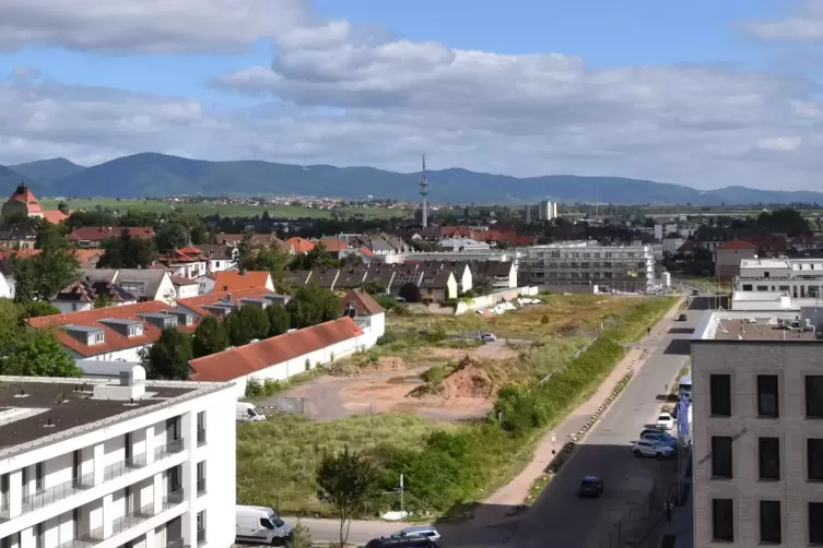 Auf dem größten Teil dieses Grundstücks will Grünewalt bauen. 