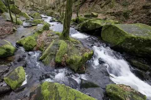 Sowohl dem Karlstal als auch vielen anderen Gebieten, dürfte der viele Regen im März gut getan haben. 