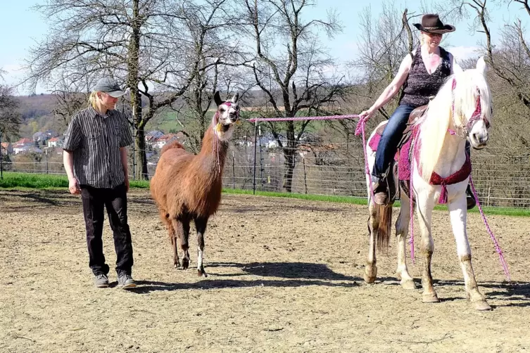 Ein Ehepaar in Hengstbach teilt sich das Leben mit rund 50 Tieren, darunter Lamas, Alpakas, Pferde, Ziegen, Schafe, Hasen und Ka