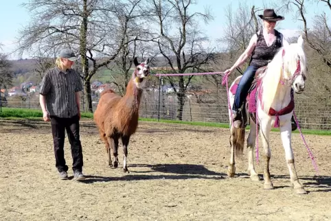 Ein Ehepaar in Hengstbach teilt sich das Leben mit rund 50 Tieren, darunter Lamas, Alpakas, Pferde, Ziegen, Schafe, Hasen und Ka