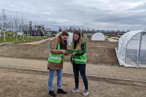 Erklären, was es mit den Gemüsewellen auf sich hat: Judith Beicht (links) und Katharina Broich vom Pfalzmarkt. 