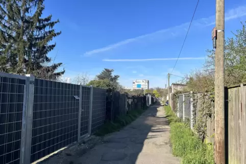 Die Anlage in den Sandwiesen befindet sich hinter der Günter-Braun-Sporthalle. 