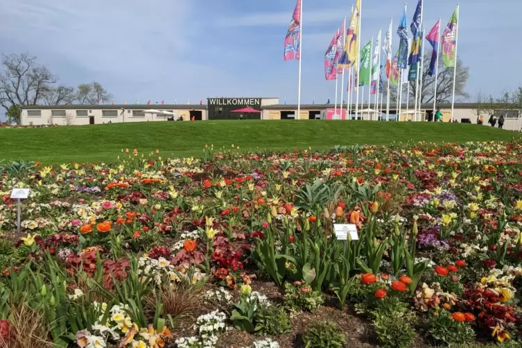 Das Willkommen-Blumenbeet: Von hier sind es nur noch wenige Schritte bis zum Haupteingang.