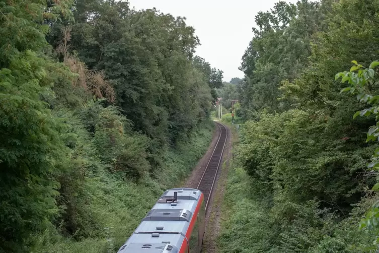 Die Bahnstrecke von Karlsruhe nach Landau ist im Abschnitt zwischen Wörth und dem südpfälzischen Eisenbahnknoten Winden nur eing