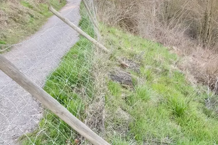 Unbekannte Täter haben auch den Zaun beschädigt.