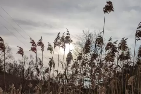 Sonne und Wolken wechseln sich ab. Häufiger kann es in der Region auch nass werden. 