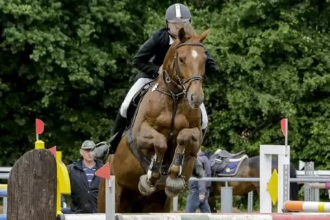 In Miesau gibt es auch dieses Jahr an Pfingsten Reitsport satt. 