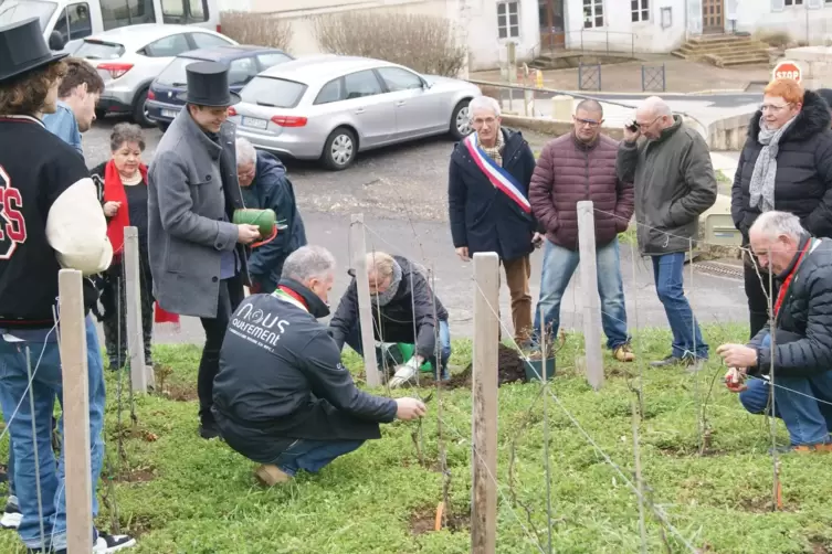 Der erste Rebschnitt im Wingert in Saint Gengoux-le-National: Zur Lese soll es ein Fest geben. 