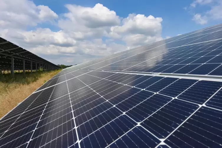 Solarpark-Bau bereits 2024? - Großsteinhausen - DIE RHEINPFALZ