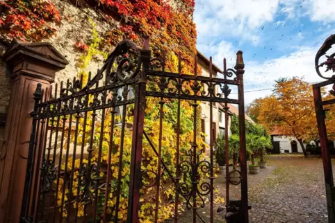 Blick in den Innenhof des historischen Anwesens, in dem das Weingut in Harxheim angeiedelt ist. 