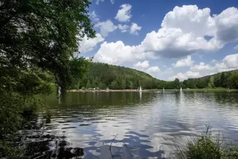 In den Sommermonaten sinkt der Wasserpegel des Gelterswoogs.