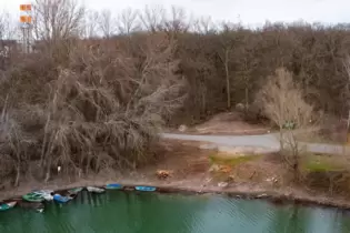 Die gerodete Fläche im Speyerer Auwald: Die Stadtverwaltung spricht inzwischen von einem »Klein-Kahlschlag«.