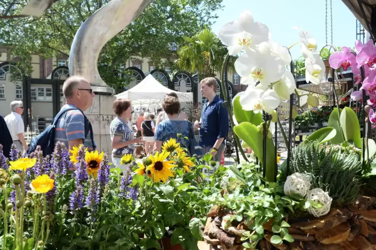 Für Blumenfreunde gibt es einen Pflanzenmarkt.