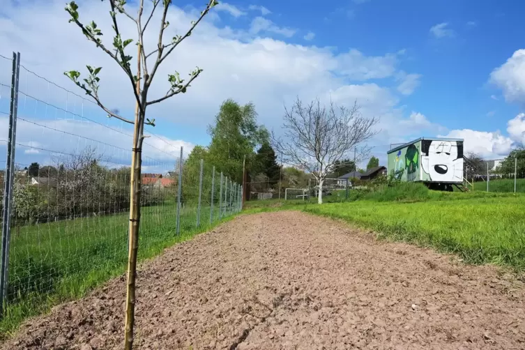 Der neue Bürgergarten in Erlenbrunn. 