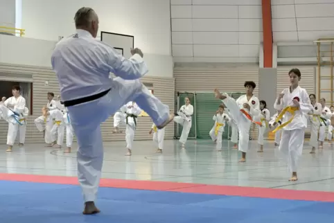 Karatetraining in der Mutterstadter Rundsporthalle: Seit 25 Jahren widmet man sich im Ort der japanischen Kapfsportart. 