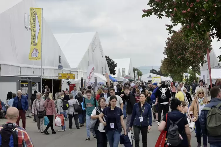 Bis Dienstagabend, als die Maimarkt-Tore wieder schlossen, dürften weit mehr als 250.000 Menschen die Messe besucht haben.