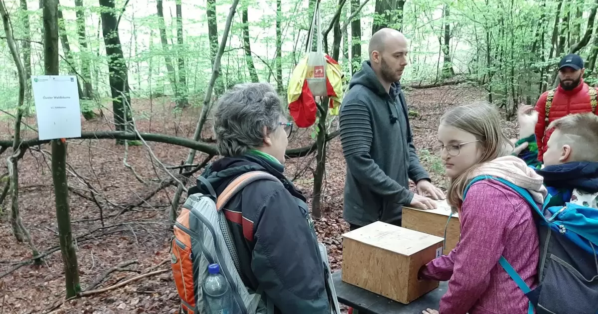 Schüler Lernen Bei Den Wald Jugendspielen Die Natur Kennen Otterberg Die Rheinpfalz 