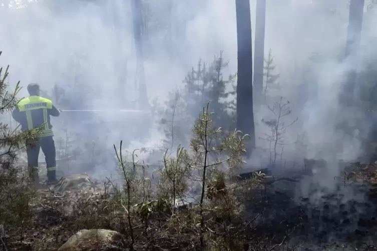 Großer Waldbrand 2022: Am 17. Mai brennt es zwischen Leistadt und Weisenheim am Berg.