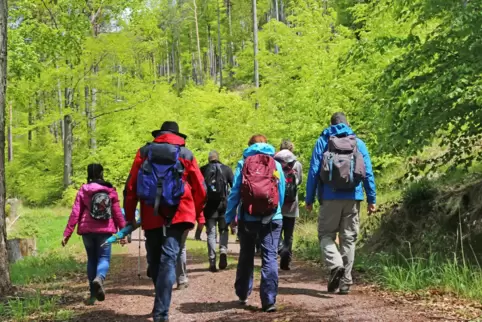 So könnte die Zusammenarbeit mit der AOK aussehen: gemeinsam organisierte Gruppenwanderungen. 