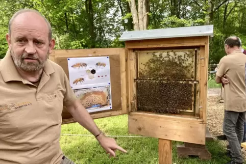 Thomas Brünahl aus Erfweiler zeigt einen der Schaukästen, in denen Besucher die Bienen geschützt durch eine Glasscheibe bei der 