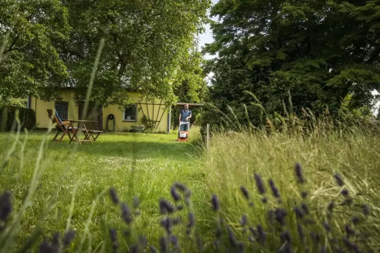 Im Sommer sollte man den Rasen nicht zu oft mähen.