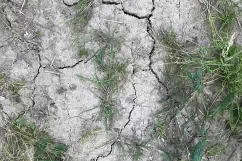 Rissiger, trockener Boden bei Waldgrehweiler: Es bleibt heiß, vereinzelt sind allerdings Regen und Gewitter möglich. 