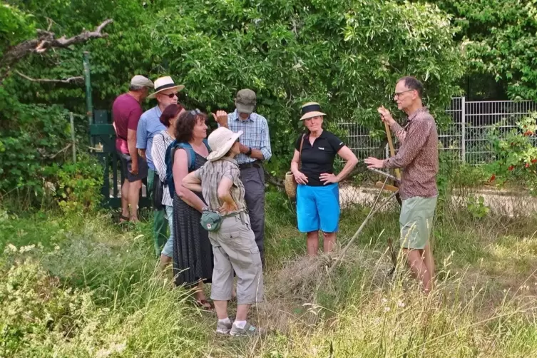 Naturexperte Michael Ochse (rechts) erklärt den Wert von Wildpflanzen für die Natur.