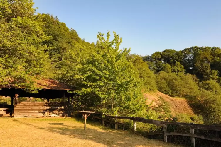 Herrlicher Flecken mit Aussicht auf den Potzberg: Die Grillhütte am ehemaligen Steinbruch auf der Heidenburg bei Oberstaufenbach