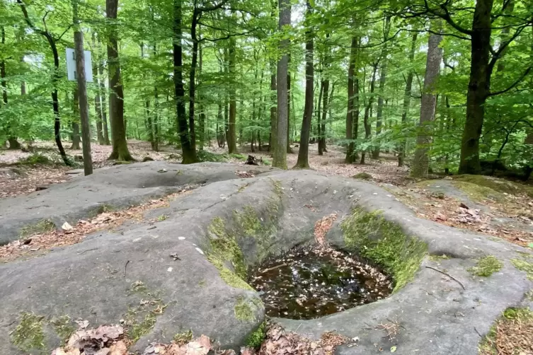 Napf-Felsen: die Pierres à cupules auf dem Reisberg. 