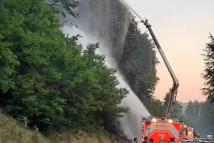 Die Zweibrücker Flugplatzfeuerwehr half an der Bärenhalde bei den Löscharbeiten.