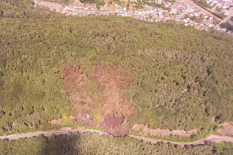 Die Drohnenaufnahme des ASB Pirmasens zeigt die Dimension des Brandes an der L482 (vorne). Im Hintergrund ist die Fohnbachstraße