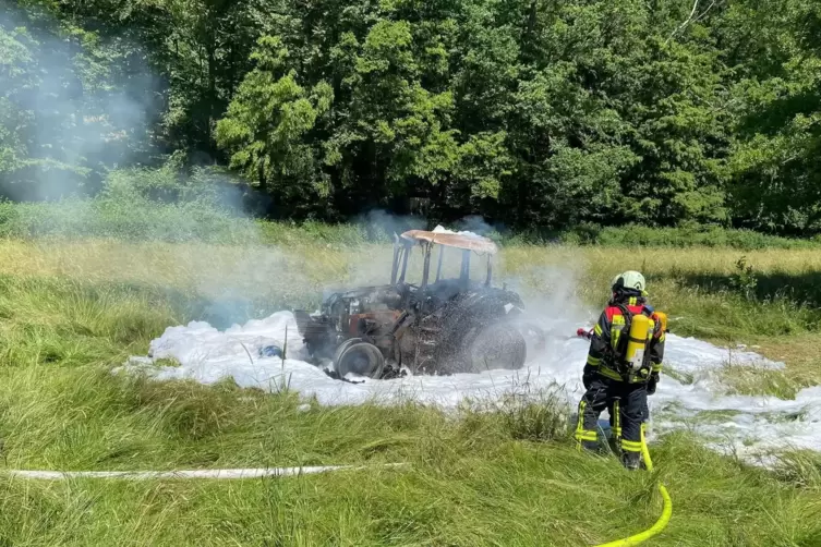 Zum Glück war das Gras feucht, so dass keine erhöhte Waldbrandgefahr bestand.