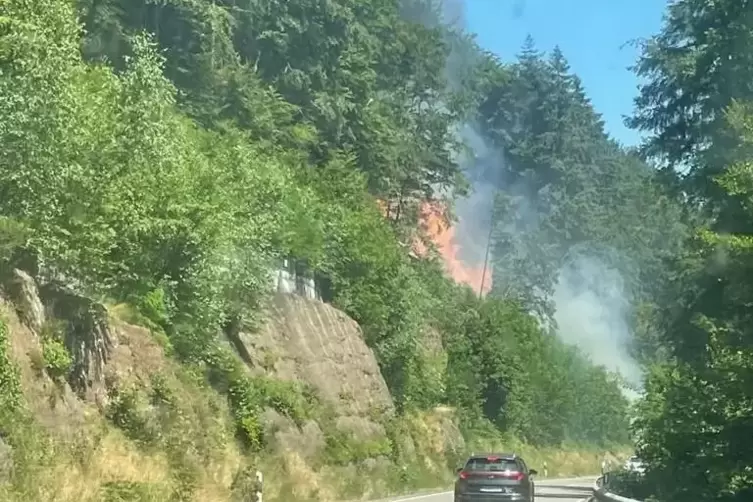 Das war am Dienstag der Ausgangspunkt. Die Rodalberin Coralie Hoffmann hat das Foto auf dem Heimweg von der Schule aufgenommen, 